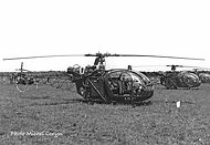 Alouette II