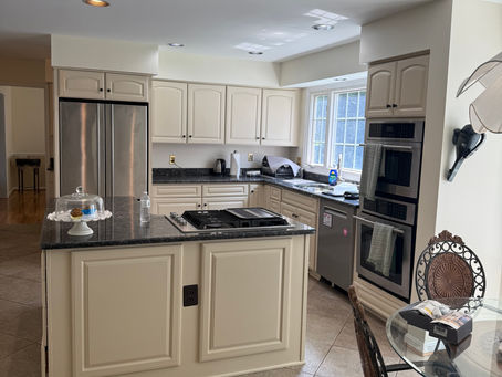 Vienna kitchen cabinet painting