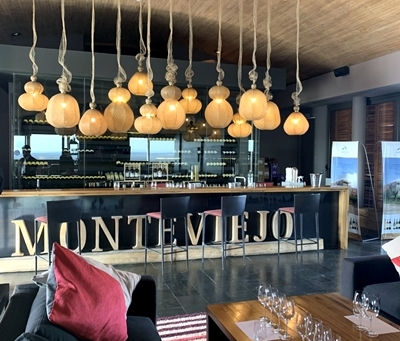 Um passeio pela rota do vinho em Mendoza - 5 vinícolas imperdíveis!