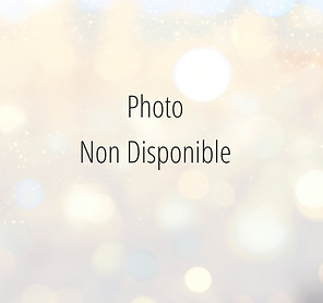 Photo non disponible
