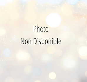 Photo non disponible