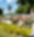 Gemini_Generated_Image_3y0nr83y0nr83y0n.png
