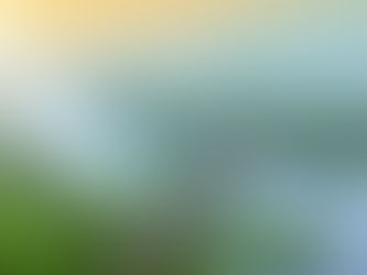 നേര്യമംഗലം പാലം – ഹൈറേഞ്ചിന്റെ കവാടം
