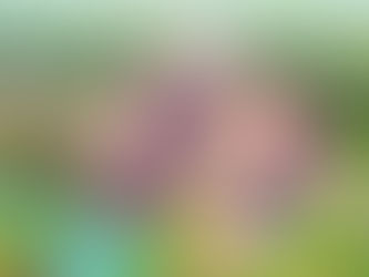 തൃക്കാരിയൂർ മഹാദേവ ക്ഷേത്രം