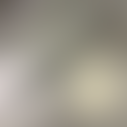 NB Sport Bracing ($25)