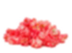 strawberry copy
