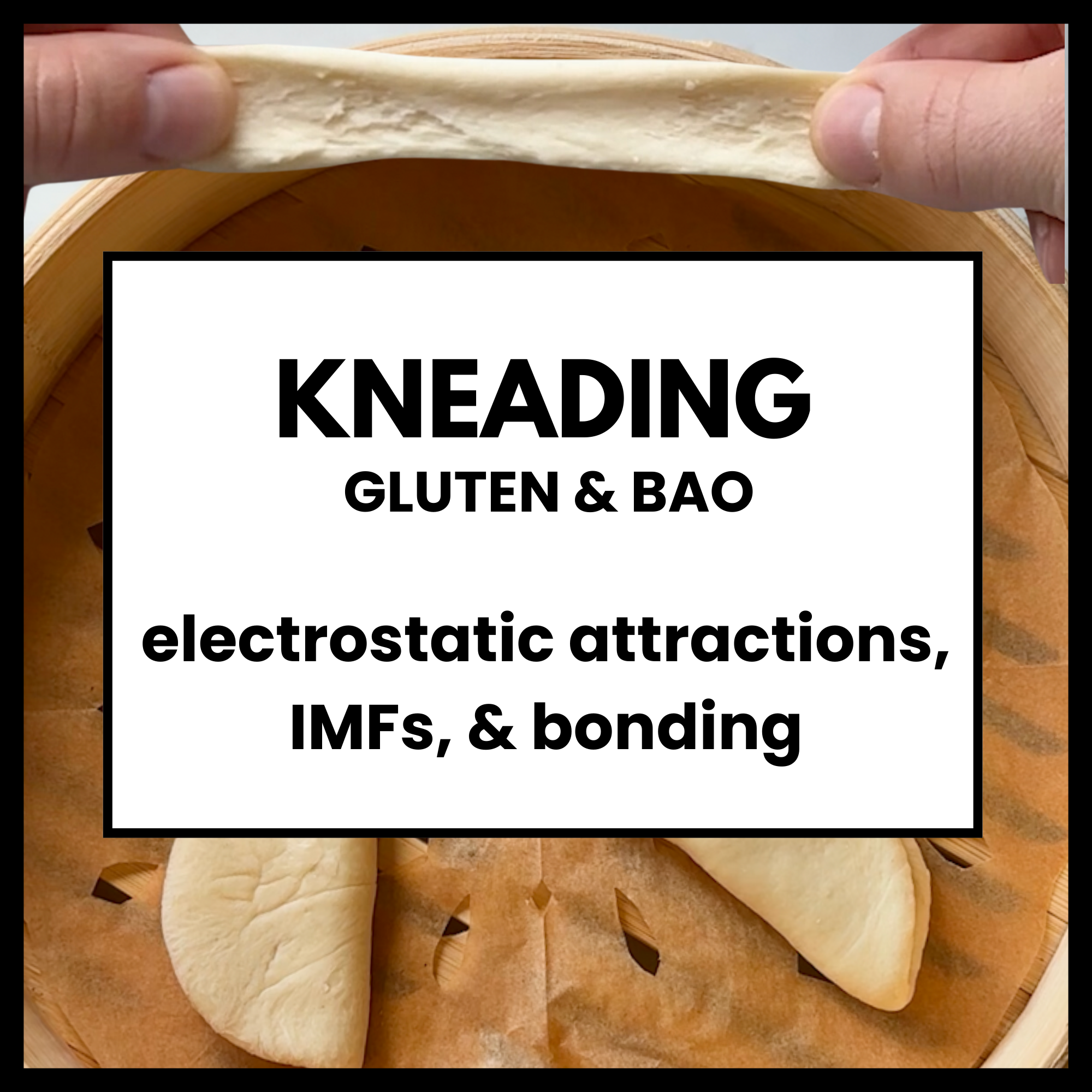 Bao: Kneading & Gluten