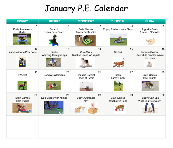 Screenshot 2026-01-05 142402.png