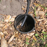 mulch 1 from godaddy.jpg