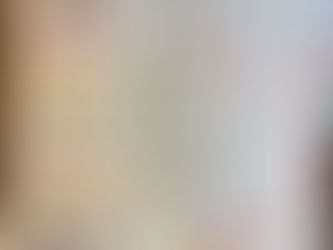 Climate Action Pledge & Talk @ American High School