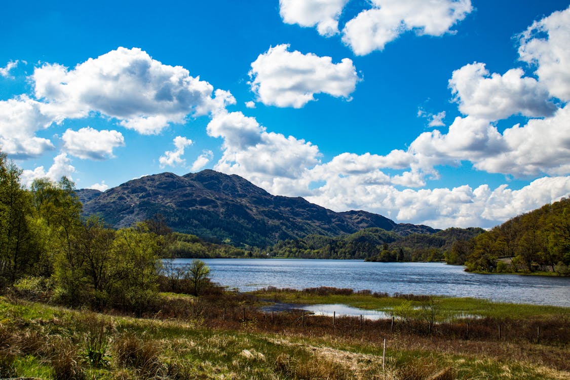 A tranquil mountain lake surrounded by trees and sky — the kind of view worth staying for.