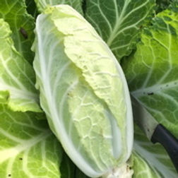 Collard.jpeg