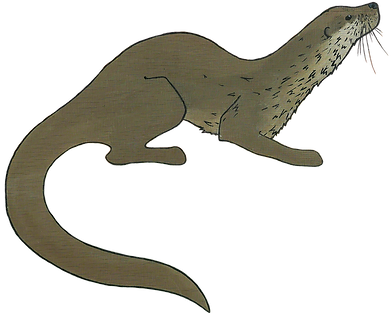 The Otter Workshop Logo