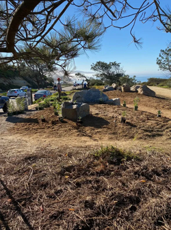 Screen Shot 2022-09-27 at 12.26.10 PM