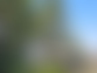 Sweet Surrender: The Swag In North Carolina