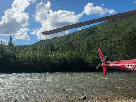 Discover Denali Backcountry Lodge: Your Gateway to Alaska's Wilderness