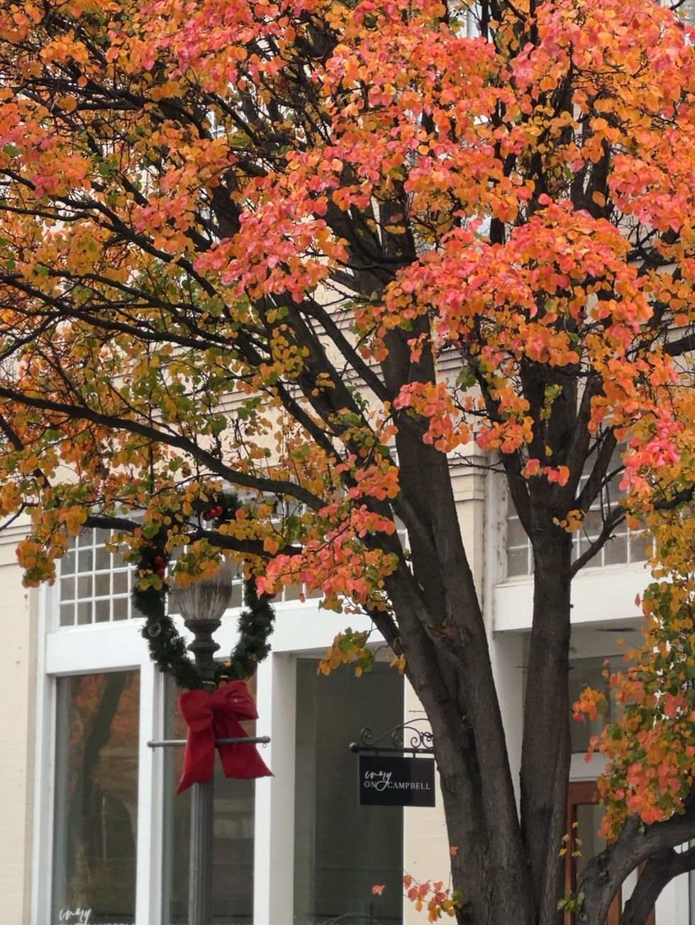 Cute streets near Liberty Trust