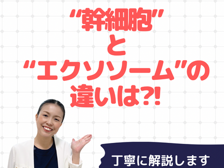 エイジングケアの味方｜「幹細胞成分」と「エクソソーム」の違いを知って、40代からの肌質改善を