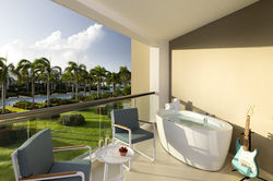 16363695_ImageLargeWidth