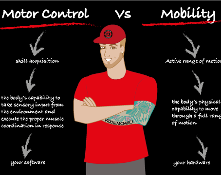 Identity of Human movement