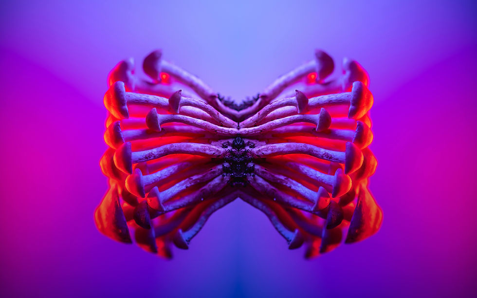 Cartographie de mon intimité