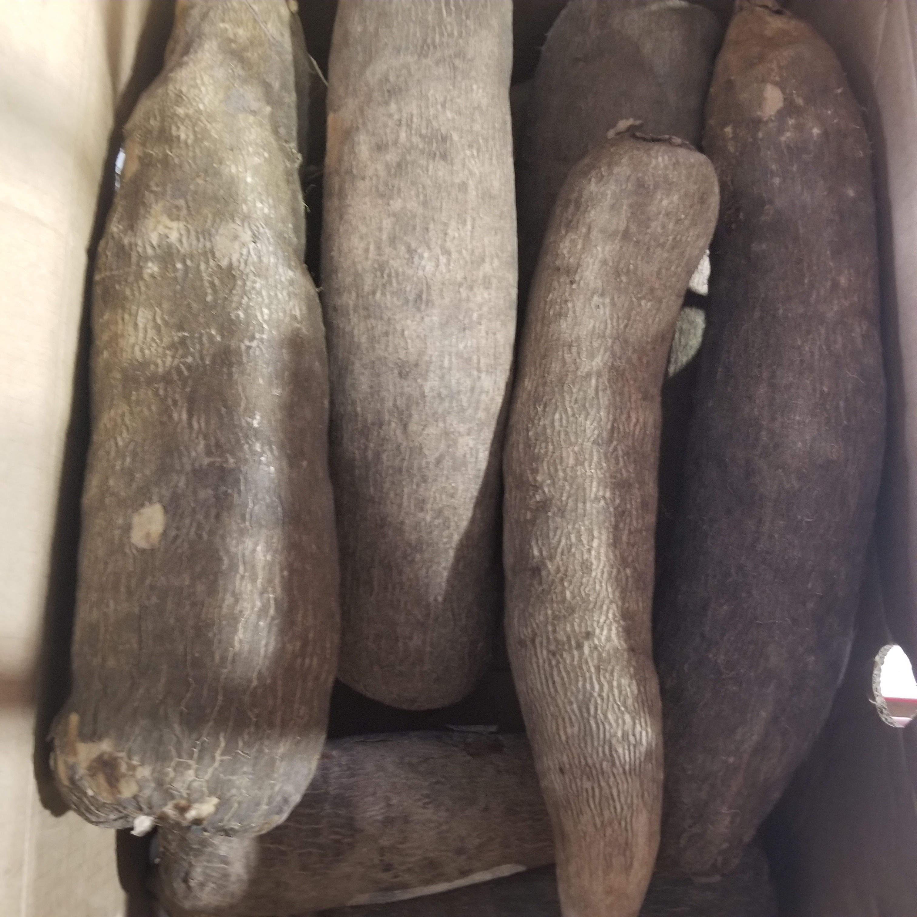 Fresh Ghana yam single piece