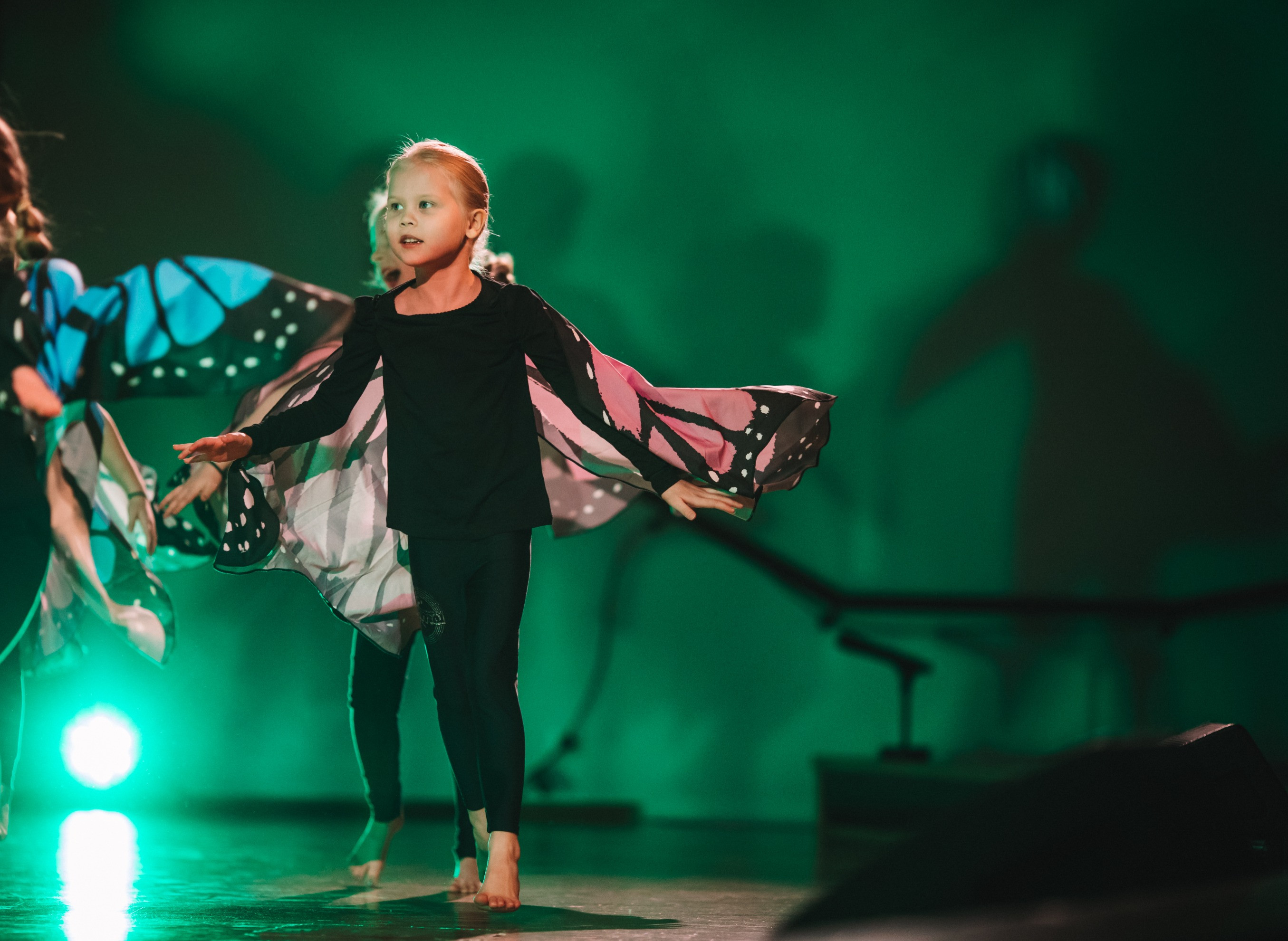 Perhosen siivet