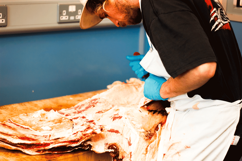 blue-butcher-gloves.gif