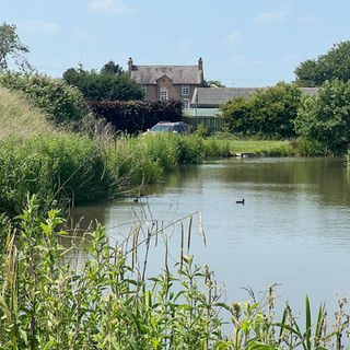 Dunham Massey Fishery Manchester Coarse Fishing Cheshire
