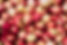 DSC_0336-min.jpg