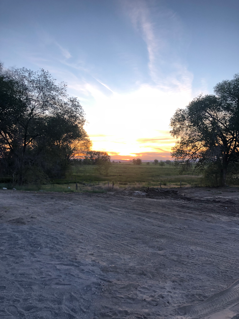 Rv Park Coming Soon For Prime Eagle Tree Views