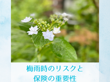 梅雨時のリスク