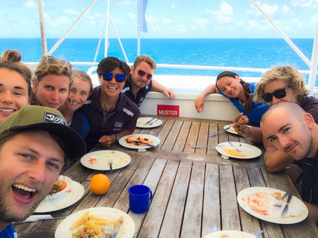 A Pedacito of Swimming With A Wild Dolphin in Australia