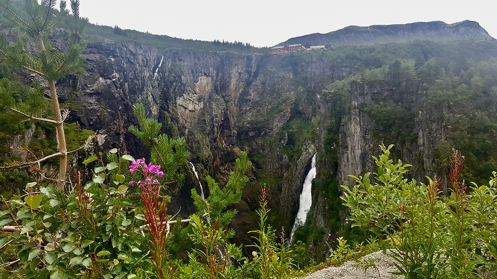 Waterfalls are another natural wonder that can be found at the Hadangervidda National Park