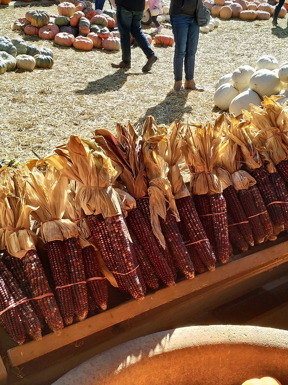 The origin of Weston Red Barn's delicious kettle corn