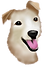Test 1.png