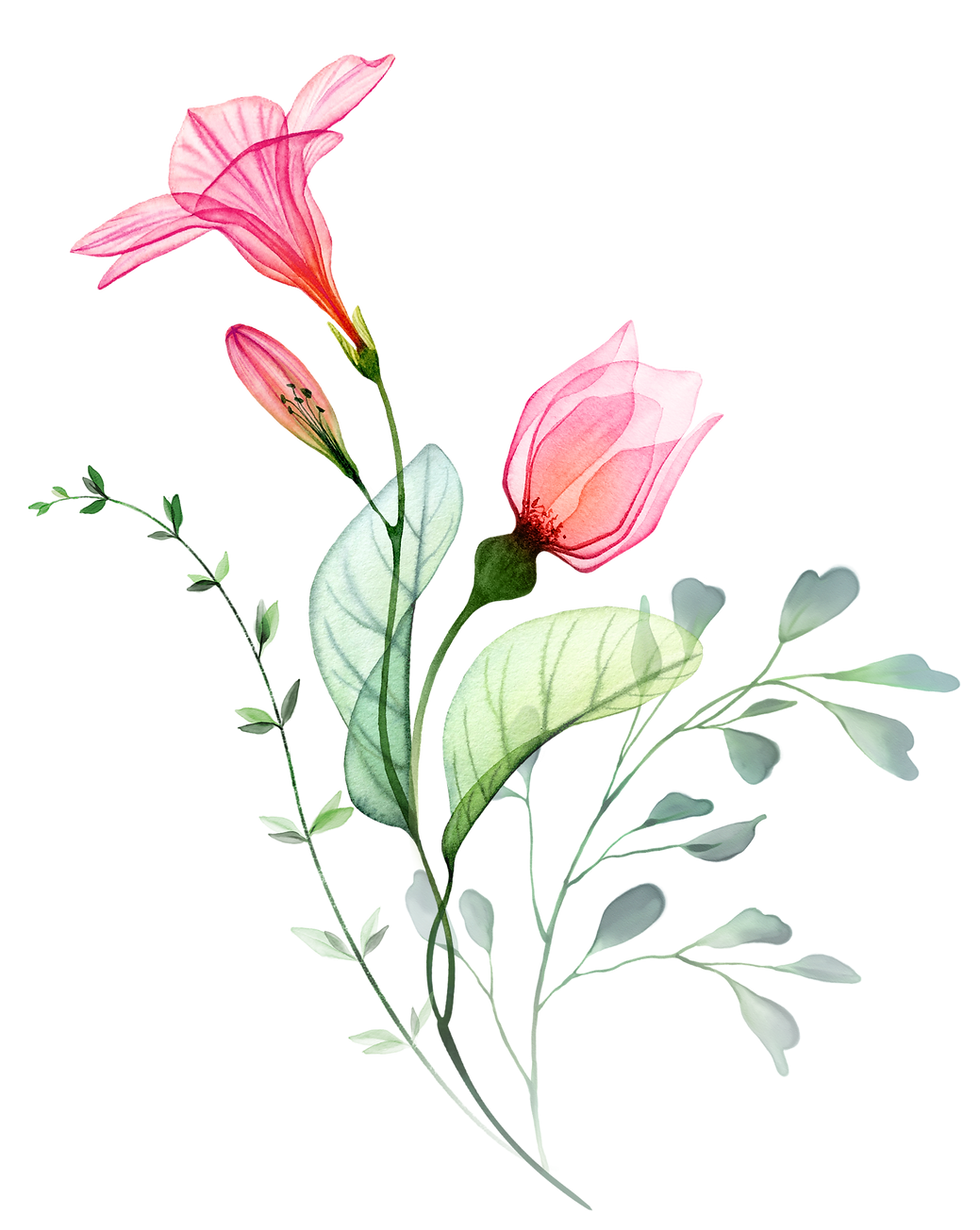 Hibiscus bouquet 3_edited.png