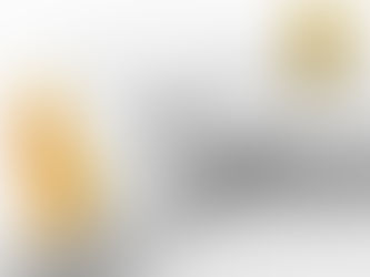 The Gaping Hole in Capital Funding