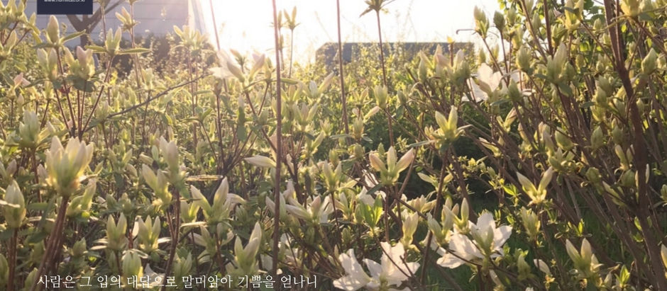 10월 5일 페이스북 묵상사진 및 주간 교회소식