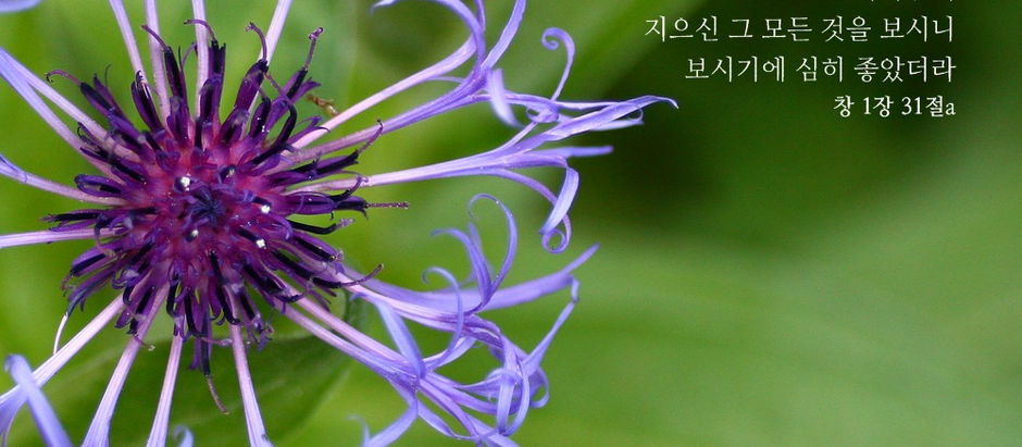 facebook 사진 묵상 및 주간 교회소식