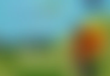 2019 전교인 여름 필그림 축제