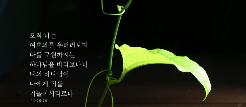 facebook 사진 묵상 및 주간 교회소식