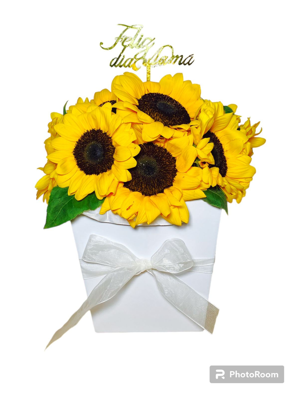 Box Ocho Girasoles