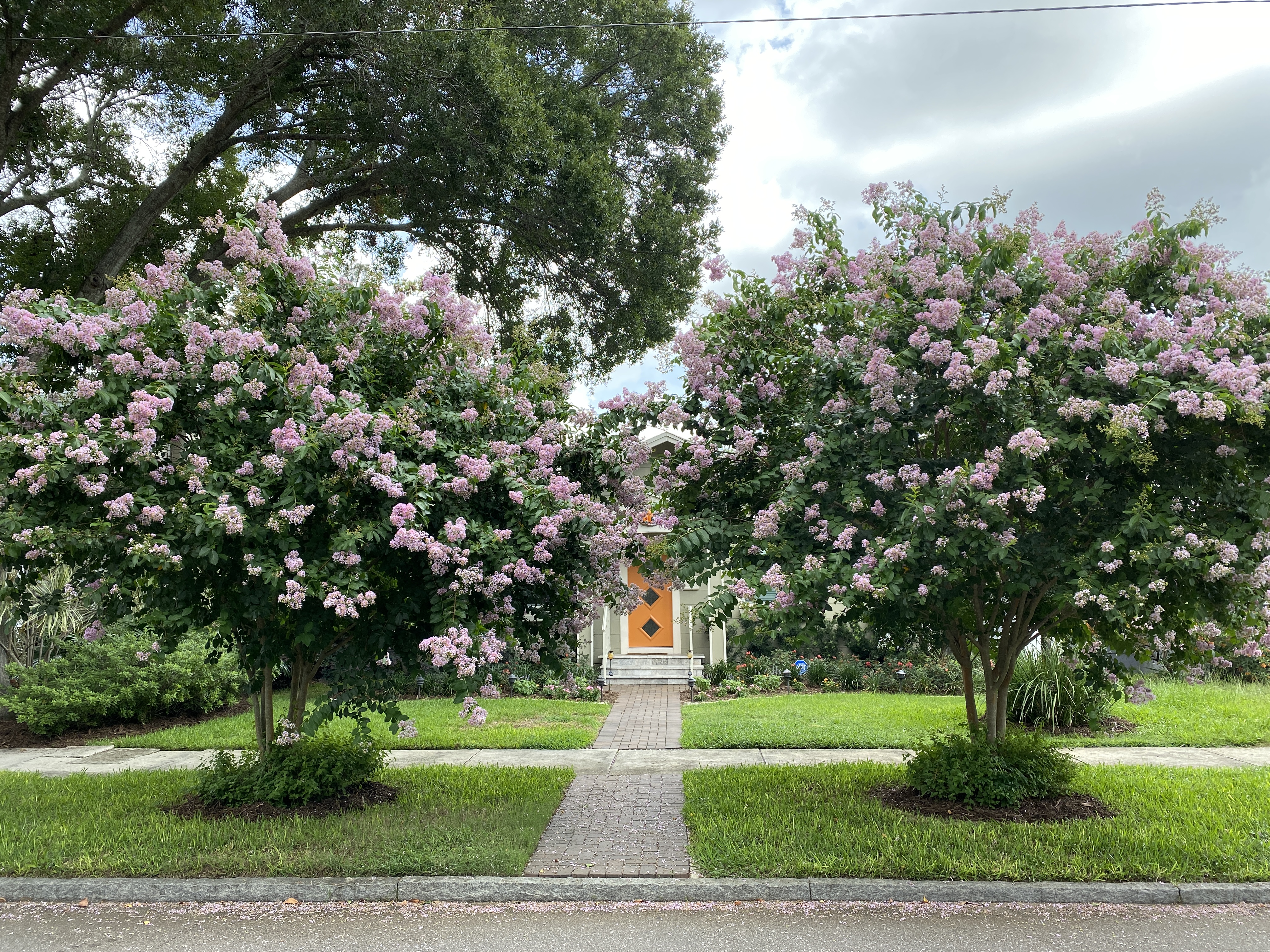 1121 21st Ave N in St Petersburg, FL, street view