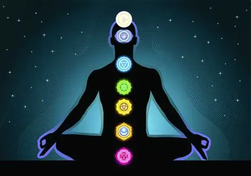 the-7-chakras-yttc.webp