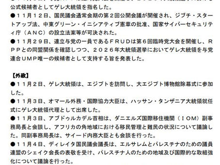 2025年11月 現地情勢月例報告