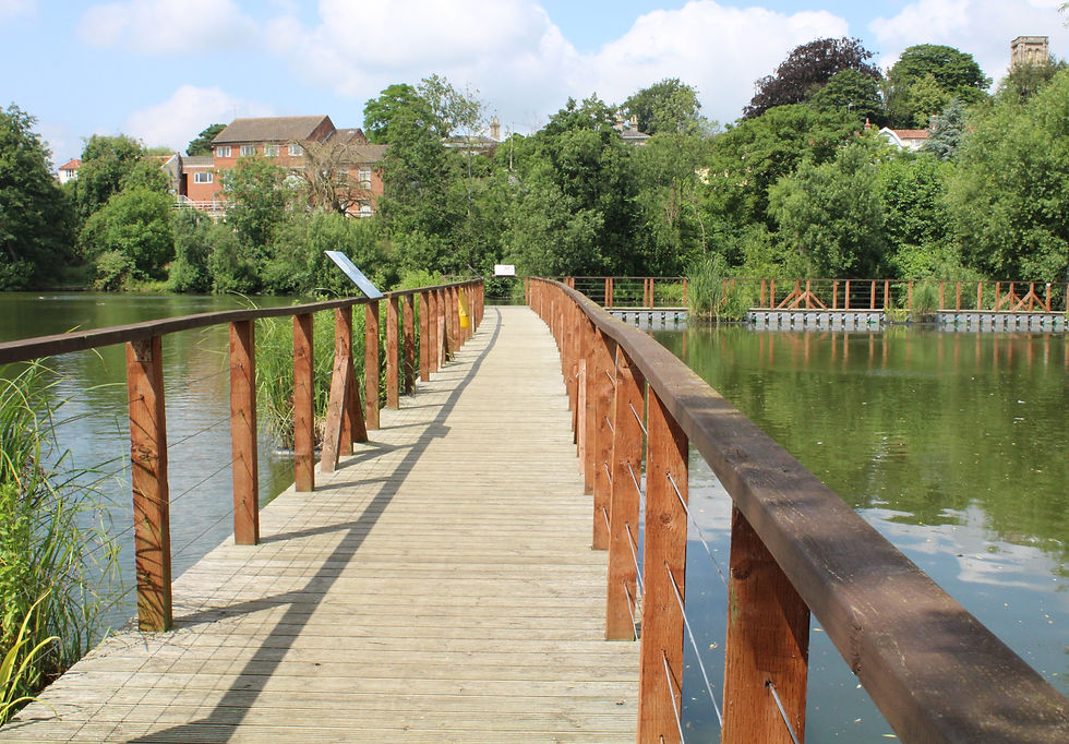 Boardwalk in the sunshine