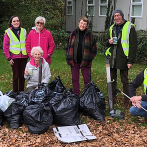 Celebrating 4 Years of Diss Litterpicking Group