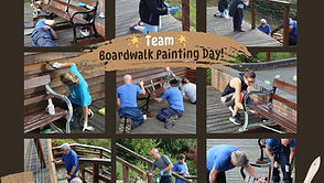 Staff come together to refresh boardwalk viewing platform