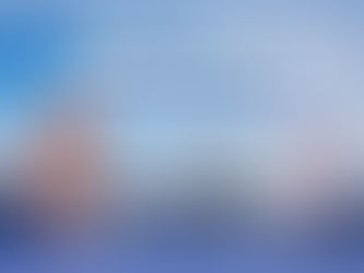 SUMOTORI Japan株式会社【REAL VOICE】